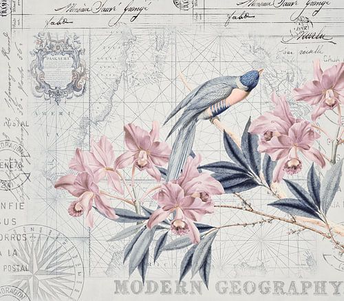 Een ontdekkingsreis naar het paradijs