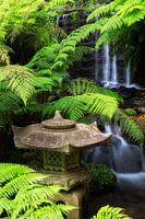 Japanese Garden
