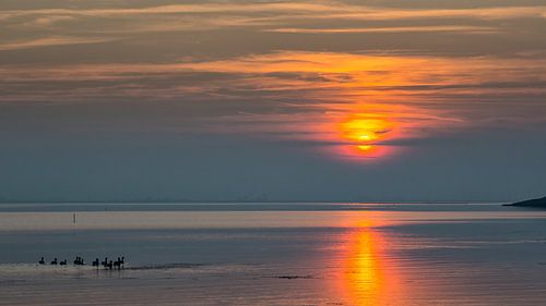 Kalme zonsondergang 