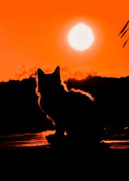Whiskers and Wonder: A Cat's Portrait by Grease New