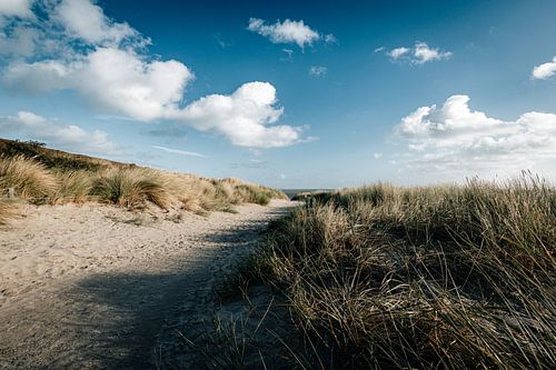 Through the dunes