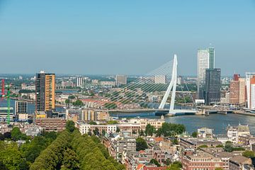 Rotterdam : le pont Érasme dans un paysage urbain.