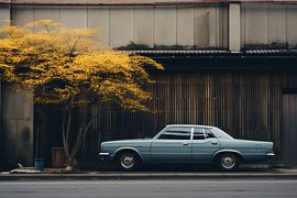 Aesthetic minimalism