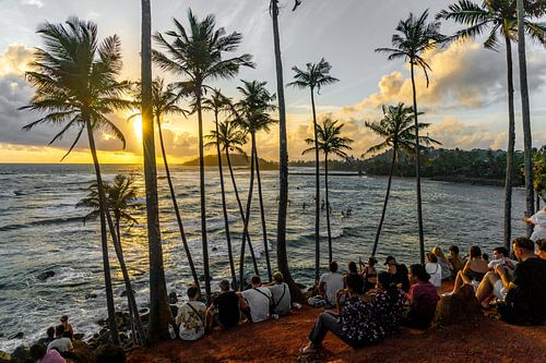 Sunset Coconut Tree Hill in Mirissa, Sri Lanka