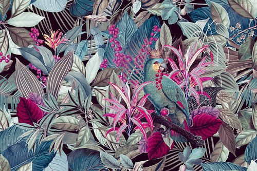 König der Papageien