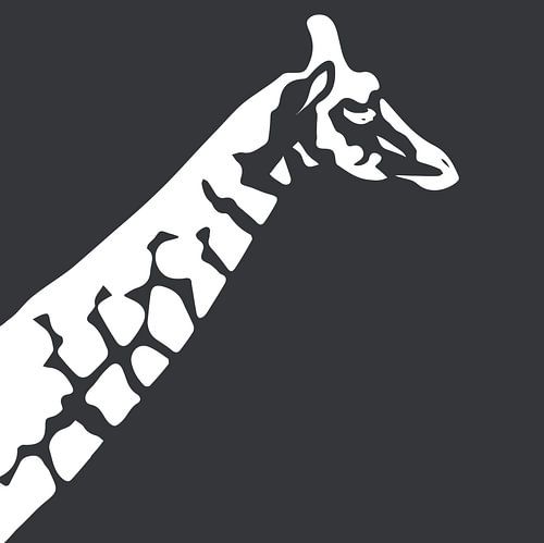 Giraf met donkere achtergrond 