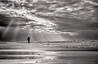 Zeegezicht met een wandelaar langs de kustlijn  van eric van der eijk thumbnail
