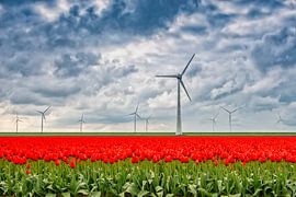 Tulipfield avec des éoliennes dans le Flevopolder. sur Ron van der Stappen