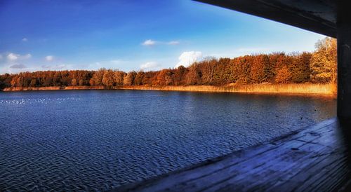 A view through the window