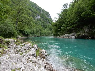 river by bert jorritsma