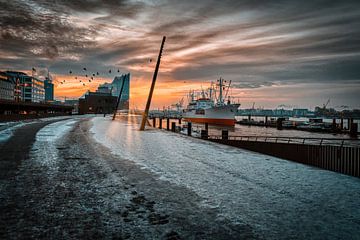 Hamburg - Elbphilharmonie (Elphi) met Cap San Diego van Das-Hamburg-Foto