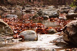 Une rivière entre les pierres