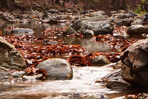 Ein Fluss zwischen den Steinen
