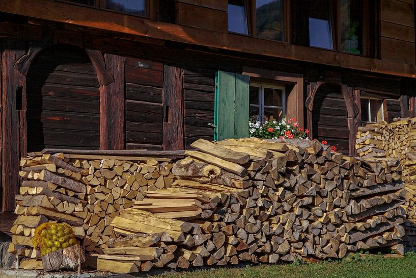 Firewood by Jürgen Wiesler