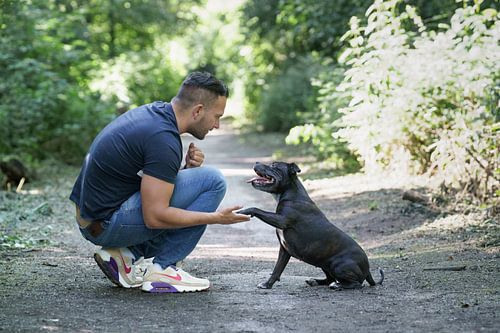 Charlie Wolters van Monique van Helden