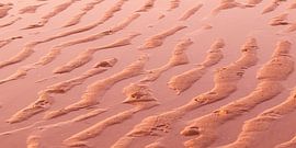 Red Marshes van Jörg Hausmann