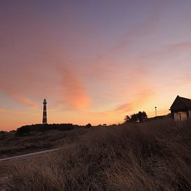 Leuchtturm von Ameland von Rinnie Wijnstra