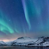 Arctic
