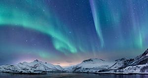 Noorderlicht boven de Lofoten in Noorwegen van Sjoerd van der Wal Fotografie