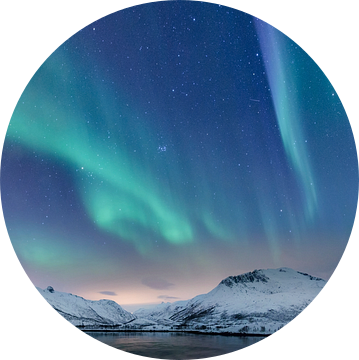 Noorderlicht boven de Lofoten in Noorwegen van Sjoerd van der Wal Fotografie