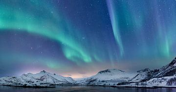 Noorderlicht boven de Lofoten in Noorwegen