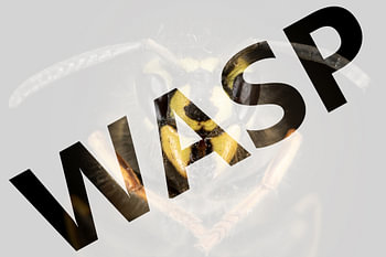 Wespe mit Text WASP