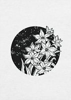 Starflowers