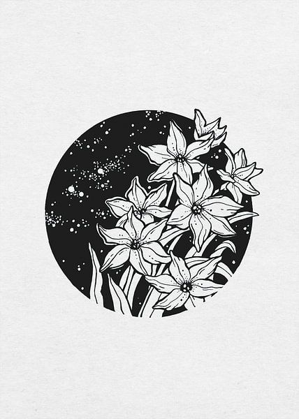 Sternblume von Suelio