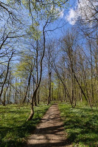 Rad- Wanderweg  entlang am Naturstrand in der Goor