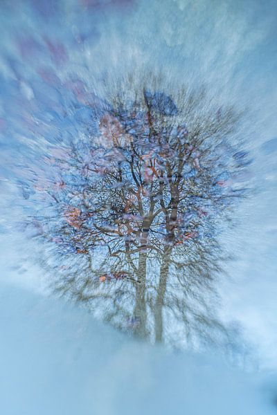 Vision réfléchie 1 par Pieter van Roijen