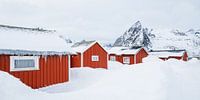 Die Fischerhäuser von Hamnøy, Lofoten von Nando Harmsen Miniaturansicht