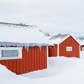 De vissershuisjes van Hamnøy, Lofoten