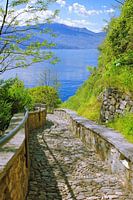 Way to the Lake