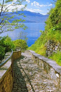 Chemin vers le lac