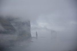 Die Riesen im Nebel von Nature Untouched Photography