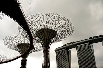 Singapour - Jardins de la baie. Supertree Grove. sur Richard Wareham