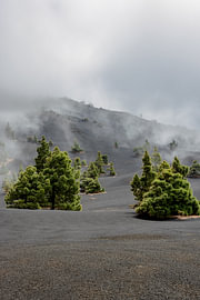 Landscape near the Tajogaite volcano by Dirk Rüter