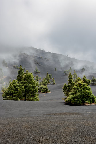 Landscape near the Tajogaite volcano
