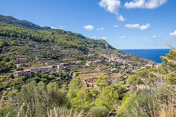 Mallorca - Banyalbufar van t.ART