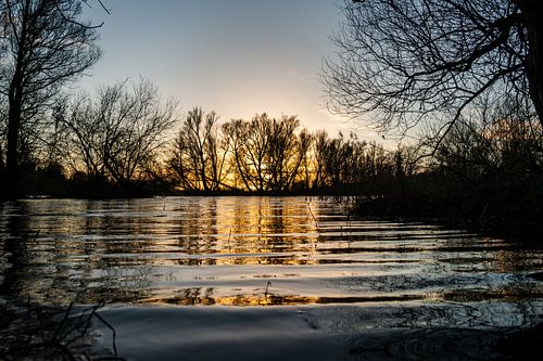 Setting sun shines through the trees over the water
