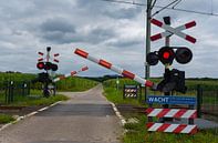 Spoorwegovergang -wacht er komt een trein. van Cilia Brandts thumbnail