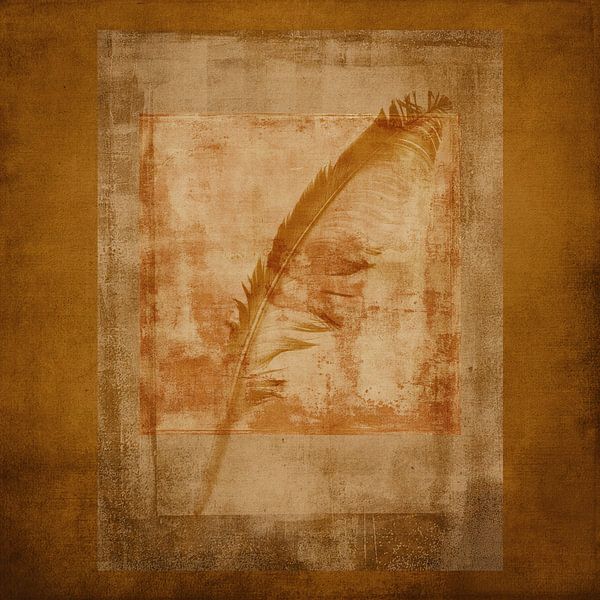 Desert Feather by Western Exposure