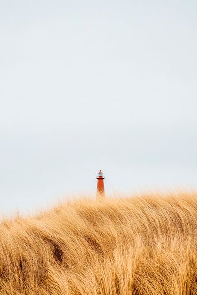 Lighthouse in the grass by Poster Art Shop