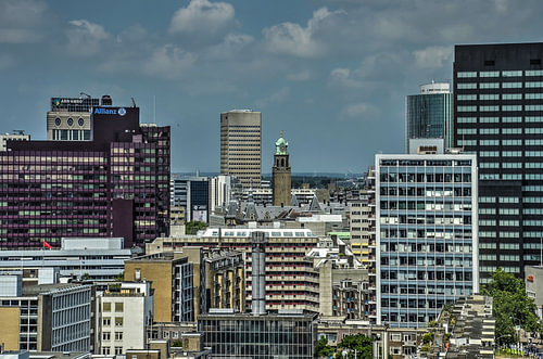 Rotterdam: City Hall and Neighbours