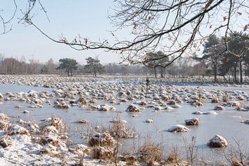 Winter... van Ans Bastiaanssen