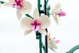 Lego orchid (close up) by Sonia Alhambra Mosquera
