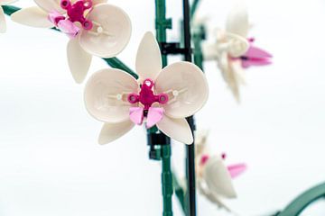 Lego orchidee  (close up) van Sonia Alhambra Mosquera