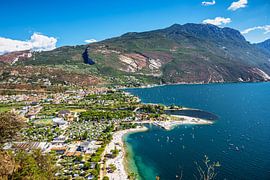 Garda van Tim Lee Williams