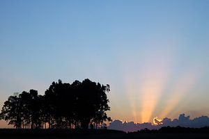 Sunset with trees