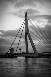 Pont Erasmus sur SVPhotographie